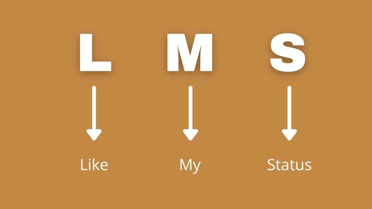 What Does LMS Slang Mean A Simple Guide to This Popular Term